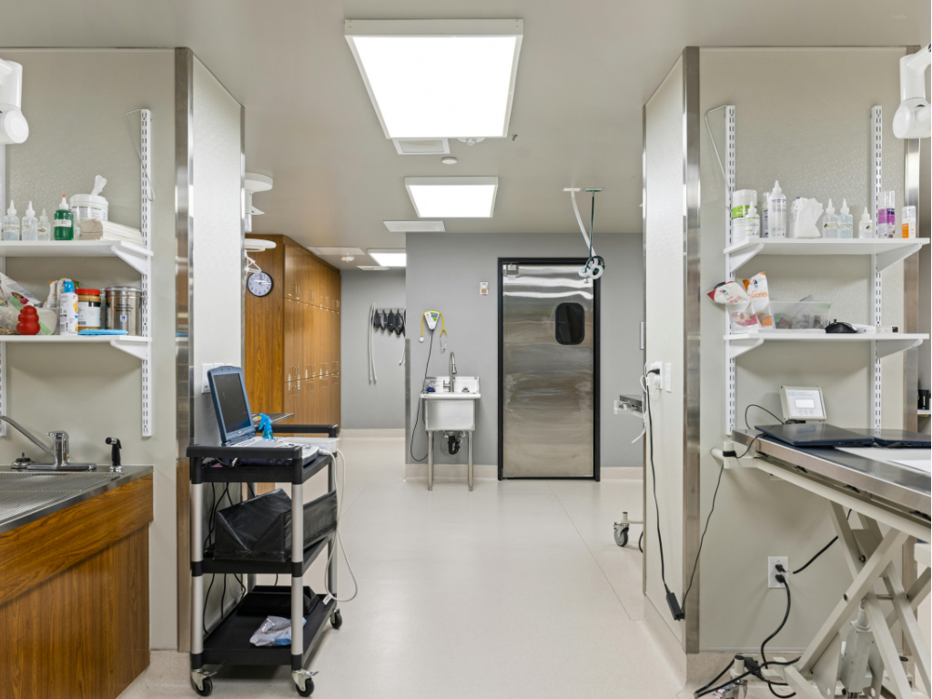 院内風景イメージ