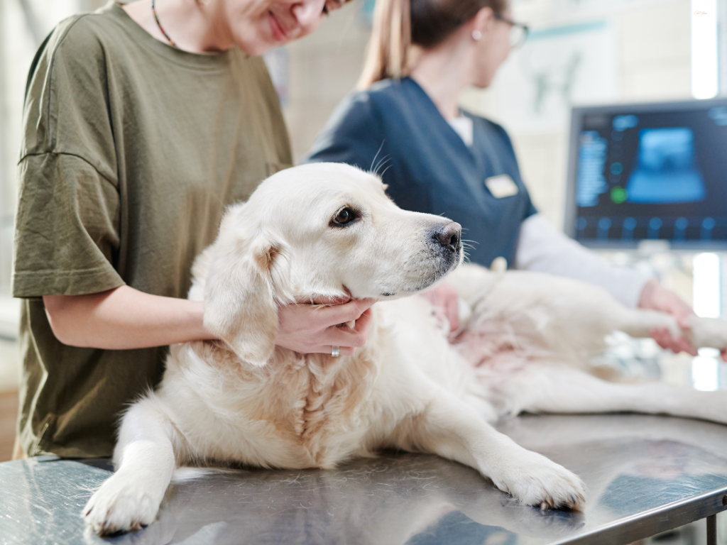 消化管腫瘍の症例