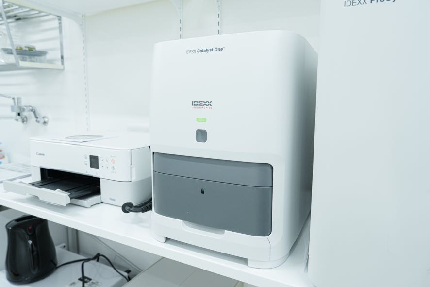 生化学検査機器