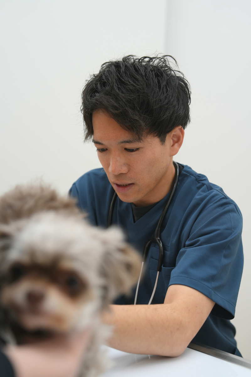 猫専門病院のコンセプト画像